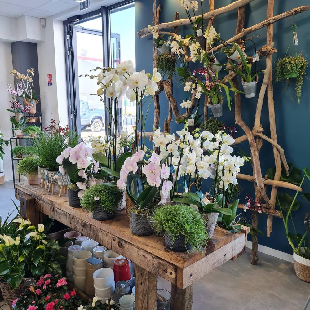 vertige de fleurs (22)