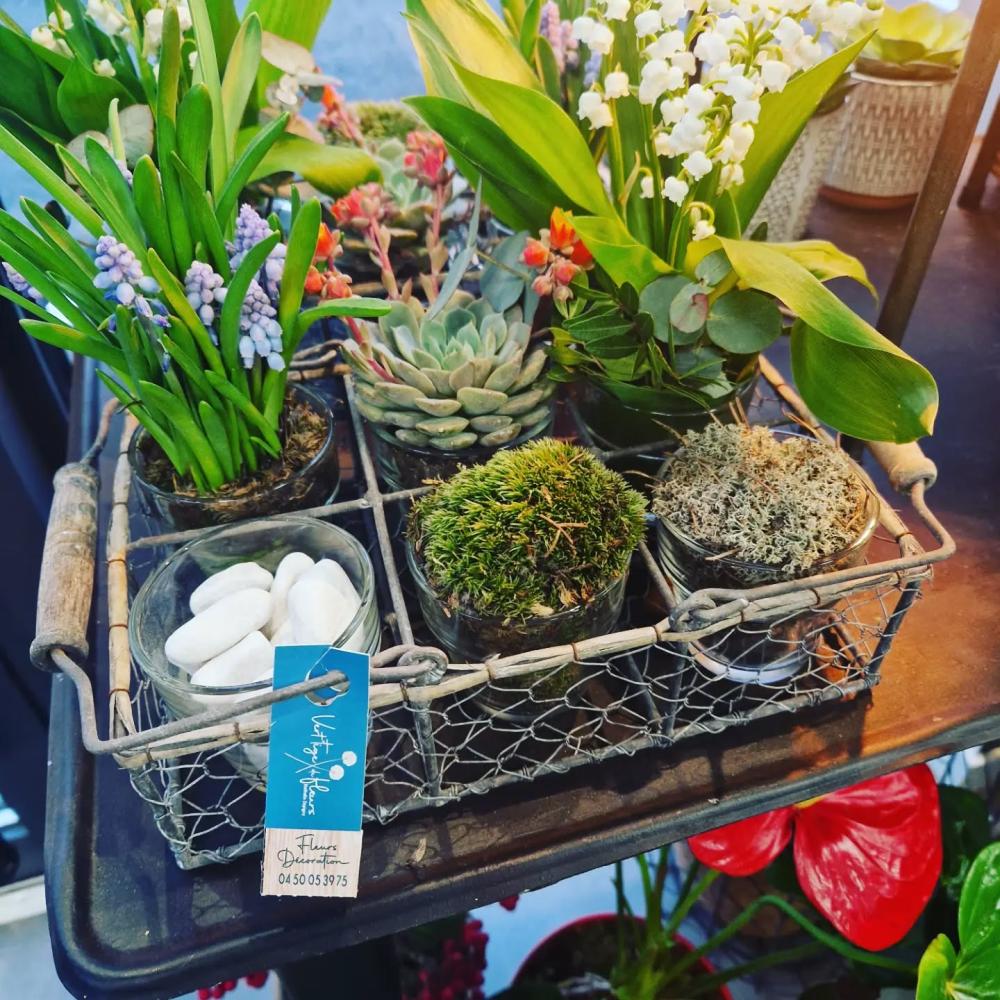 vertige de fleurs (33)