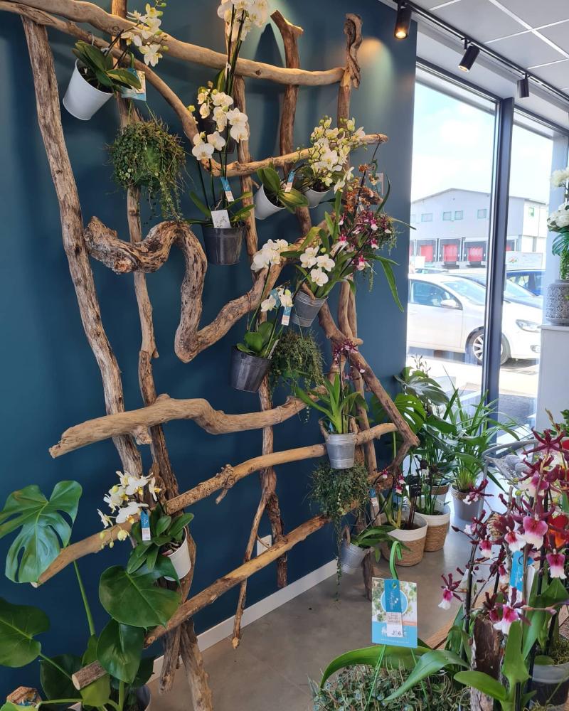 vertige de fleurs (8)