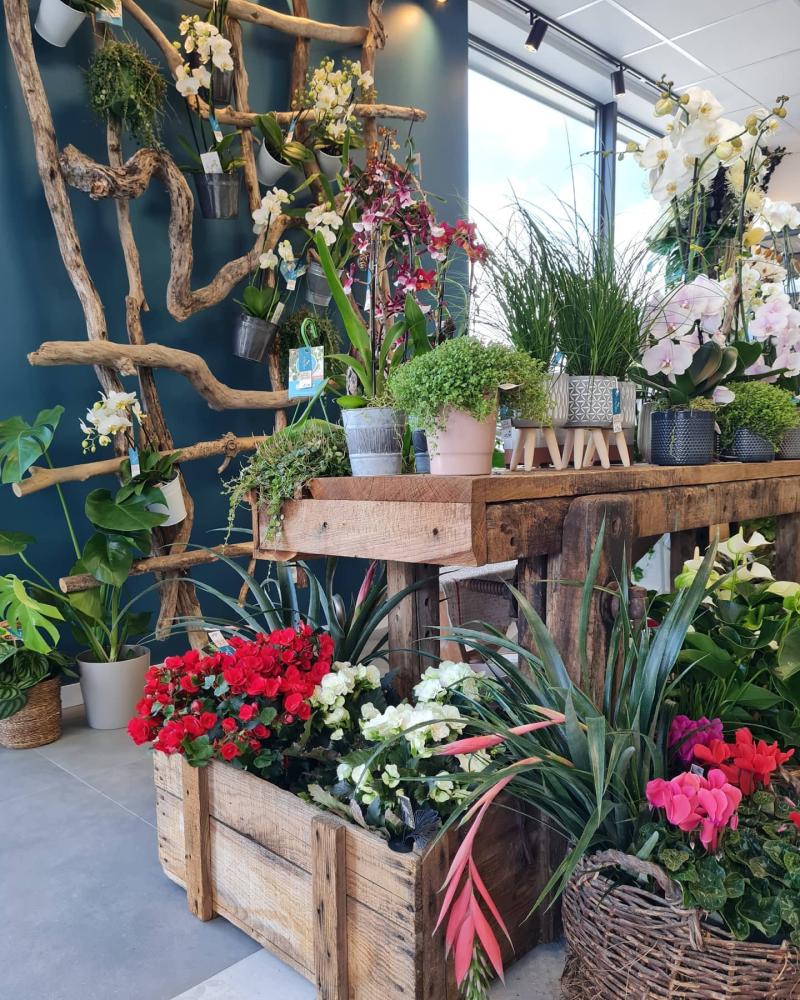 vertige de fleurs (15)